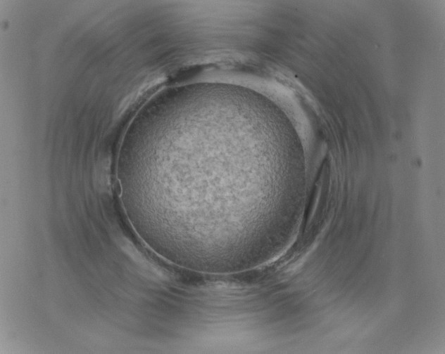 X0000076220585200610122052