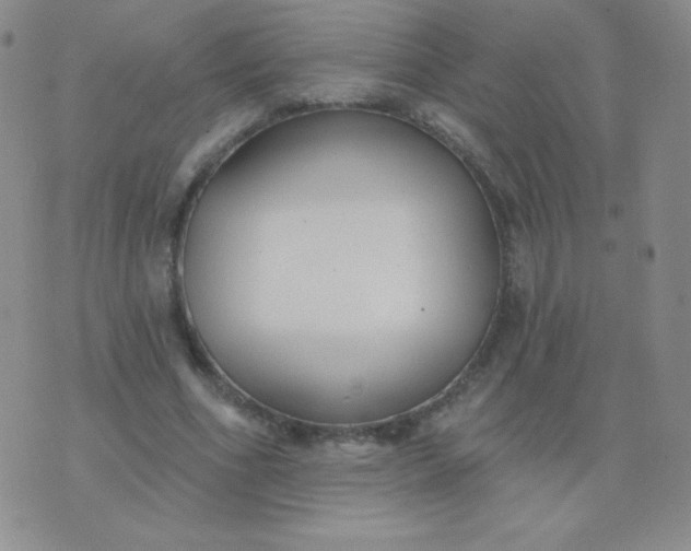 X0000076220586200610122052