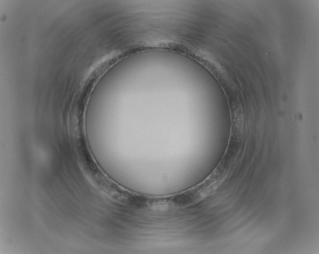 X0000076220587200610122052