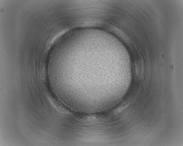 X0000076220588200610122052