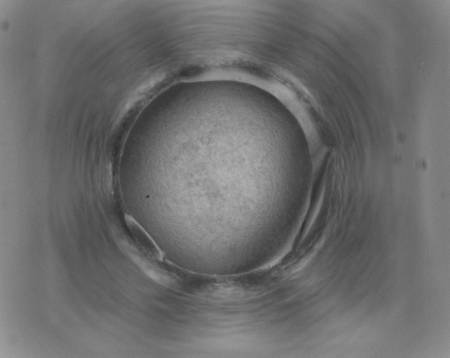 X0000076220589200610122052