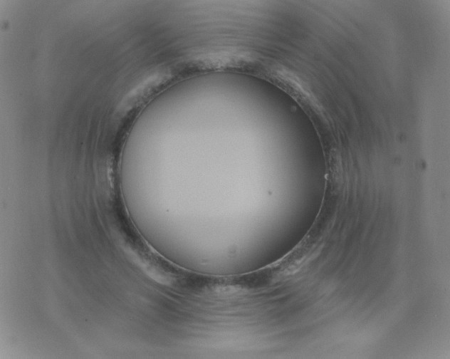 X0000076220590200610122052