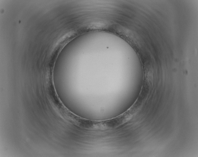 X0000076220591200610122052