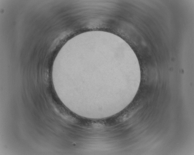 X0000076220592200610122052