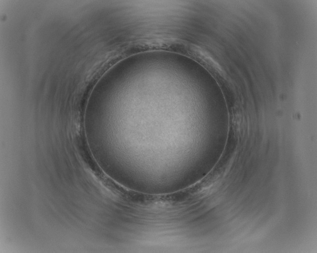 X0000076220593200610122052