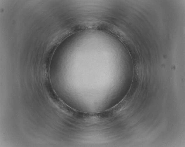 X0000076220594200610122052