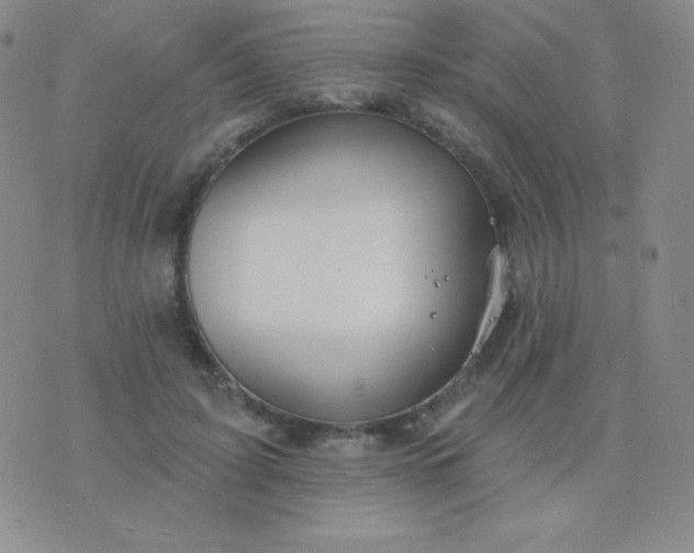 X0000076220595200610122052