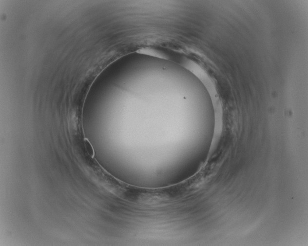 X0000076220597200610122052