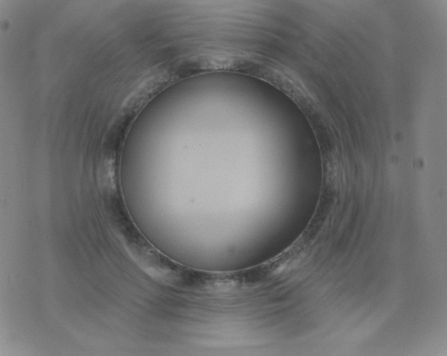 X0000076220598200610122052