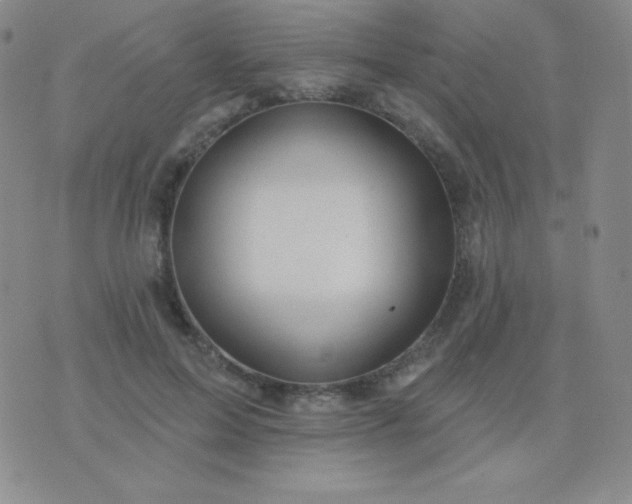 X0000076220599200610122052