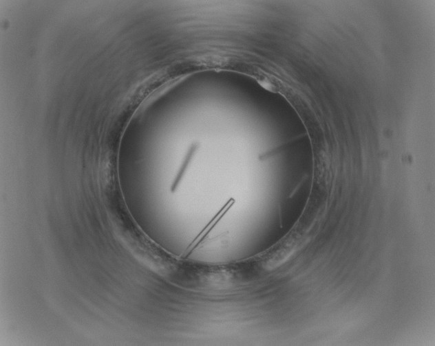 X0000076220600200610122052