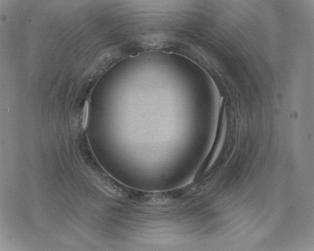 X0000076220601200610122052