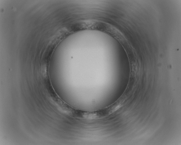 X0000076220602200610122052