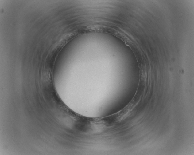 X0000076220603200610122052