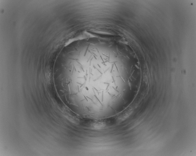 X0000076220604200610122052