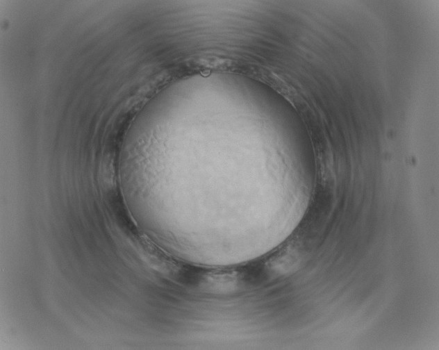 X0000076220606200610122052