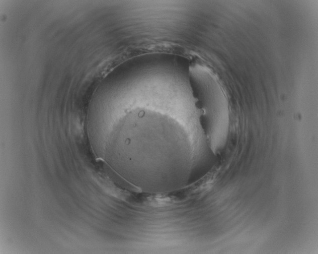 X0000076220607200610122052