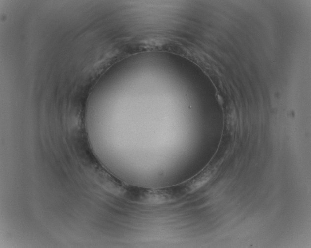 X0000076220608200610122052