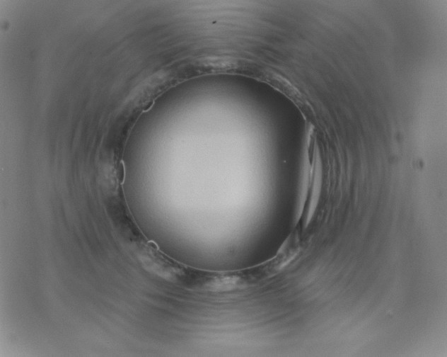 X0000076220609200610122052