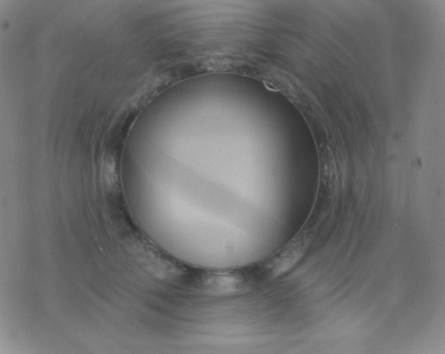 X0000076220610200610122052