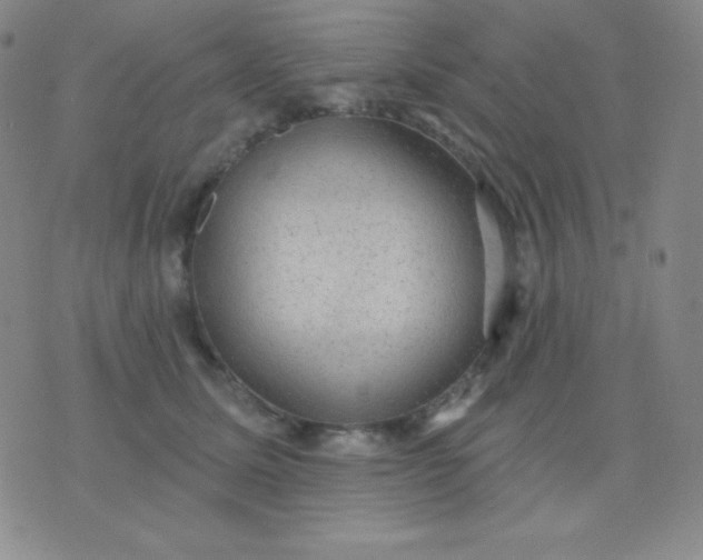 X0000076220611200610122052