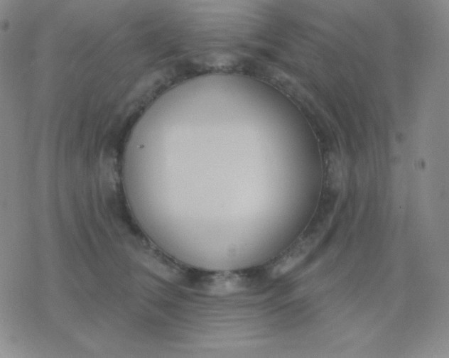 X0000076220612200610122051