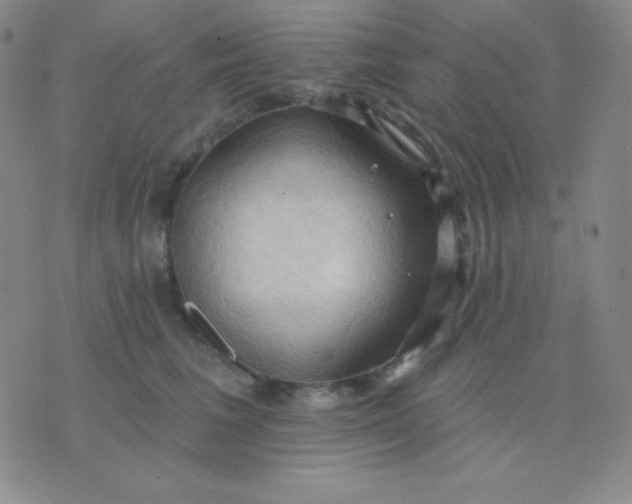 X0000076220613200610122051