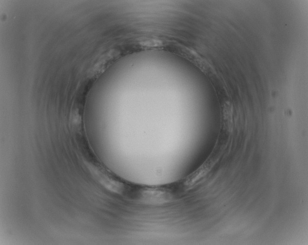 X0000076220614200610122051