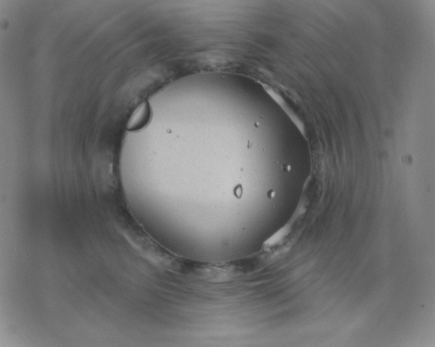 X0000076220615200610122051