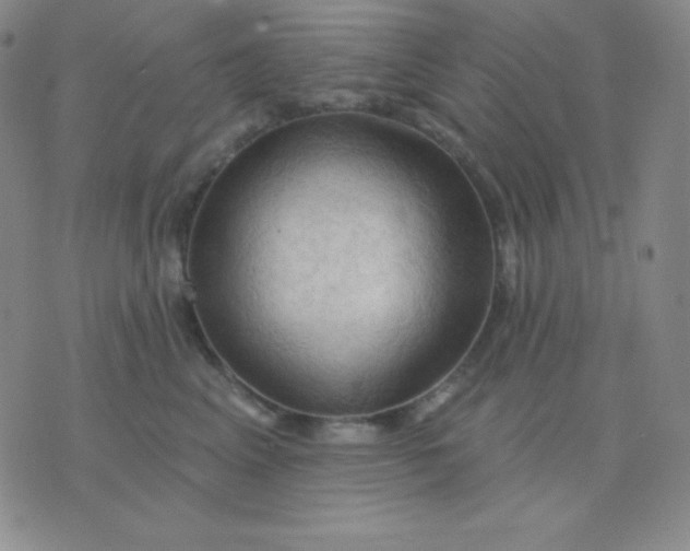 X0000076220617200610122051