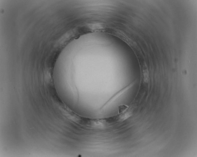 X0000076220618200610122051