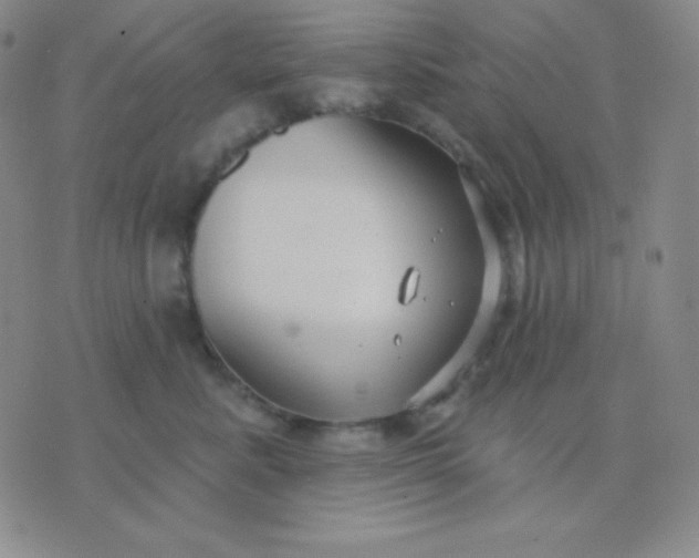 X0000076220619200610122051