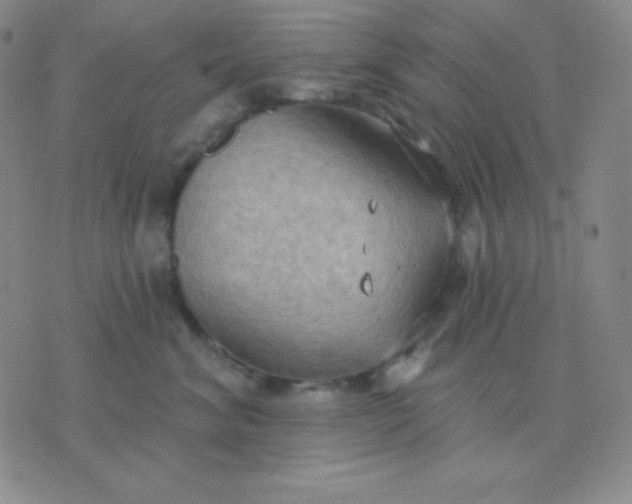 X0000076220620200610122051