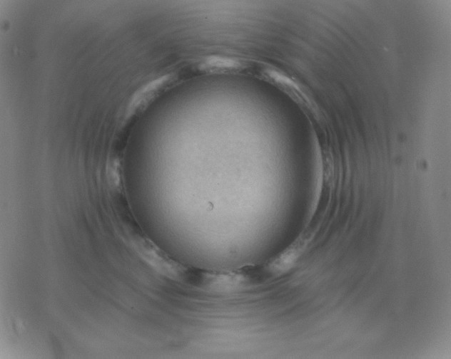 X0000076220621200610122051