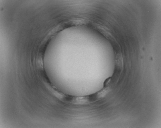 X0000076220622200610122051