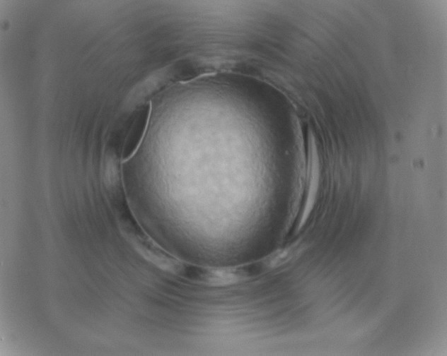 X0000076220623200610122051