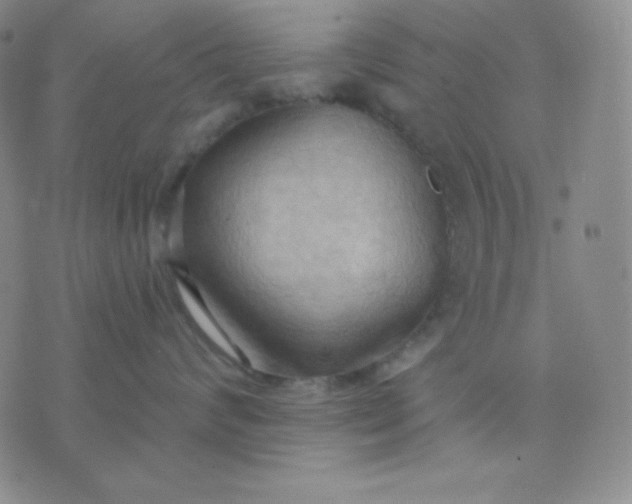 X0000076220624200610122051