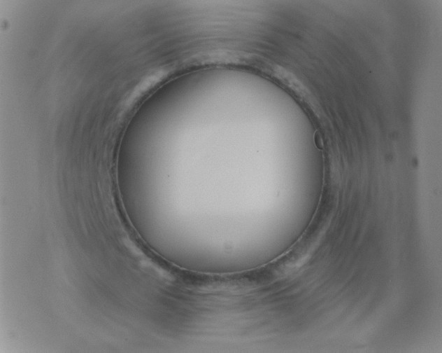 X0000076220625200610122051