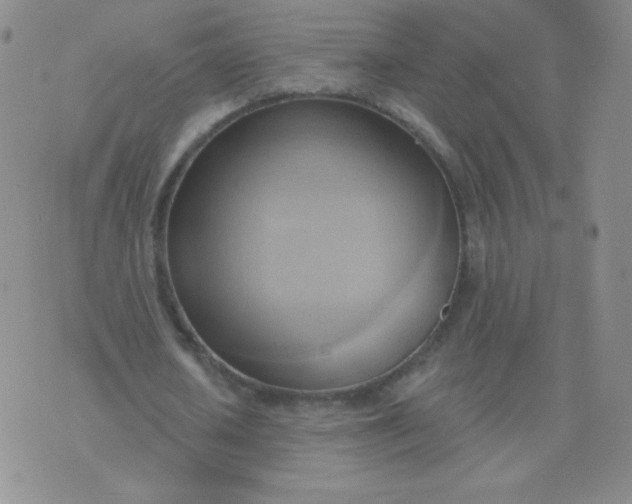 X0000076220626200610122051