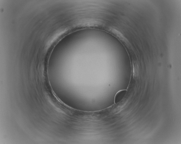 X0000076220627200610122051