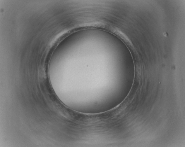 X0000076220628200610122051