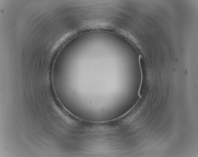 X0000076220629200610122051