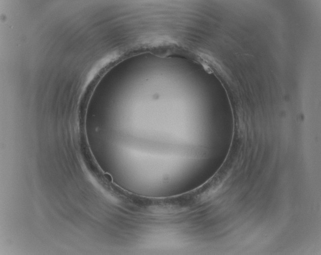 X0000076220630200610122051