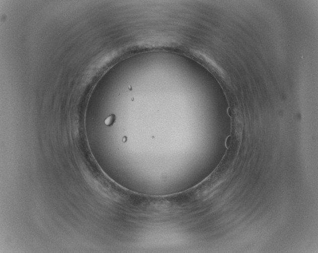 X0000076220631200610122051