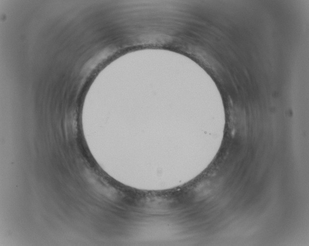 X0000076220632200610122051