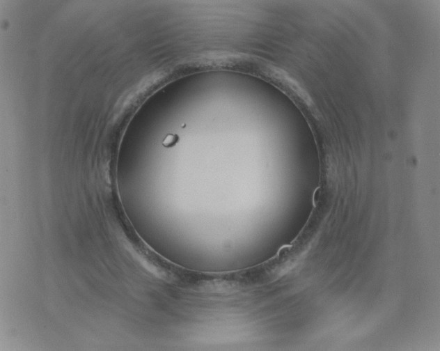 X0000076220633200610122051