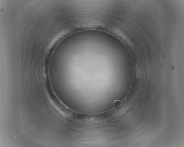 X0000076220634200610122051