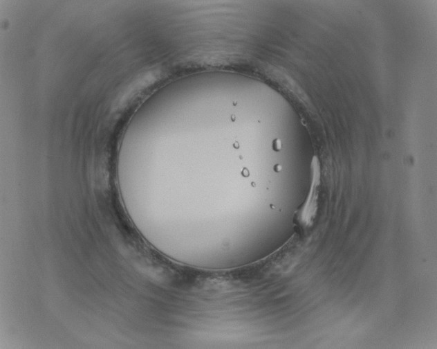 X0000076220635200610122051