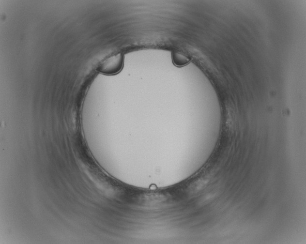 X0000076220636200610122051