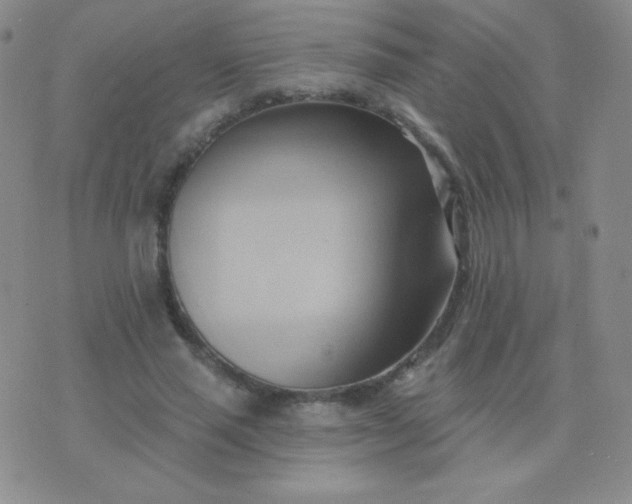 X0000076220637200610122051